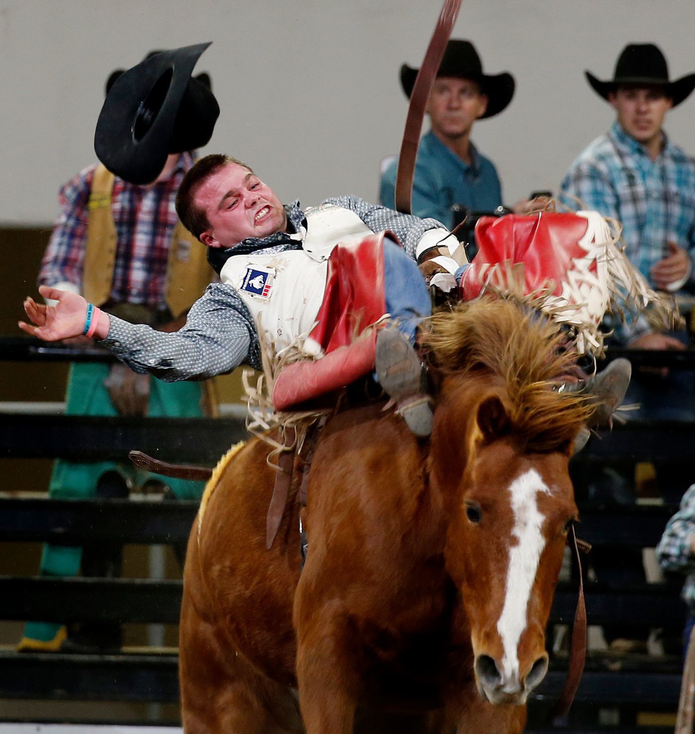 Chase Hawks rodeo